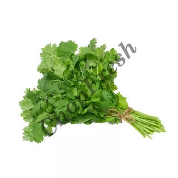 Coriander Bunch (Hara Dhanya)