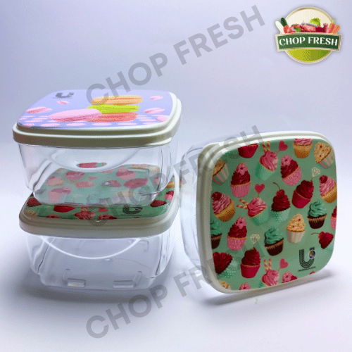 Acrylic Containers with Lid - Pack of 3