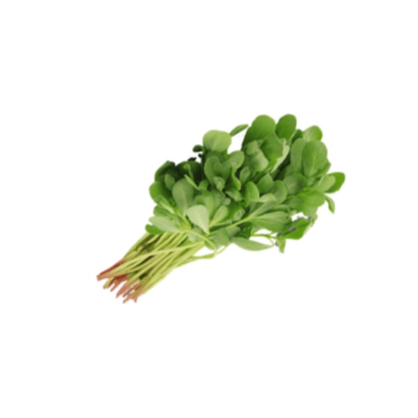 Methi 05-Bunch (Chooti Maythi)