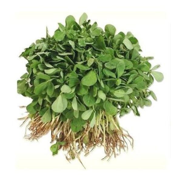 Methi 500gm (Bari Methi)