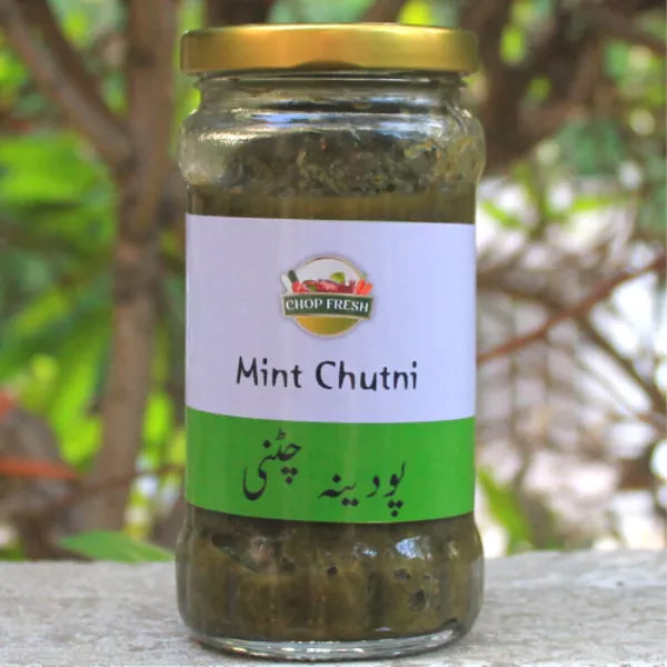 Podina Chutni 300gm