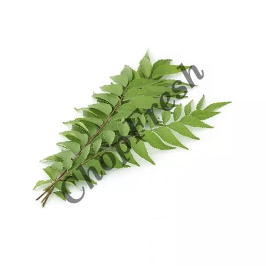Curry Leaves Bunch (Curry Patta)