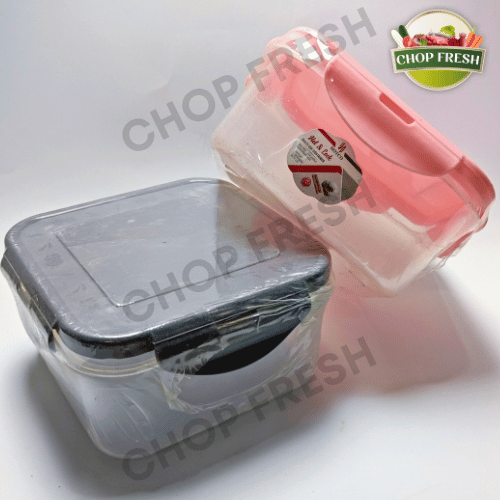 Airtight Food Container (Small)