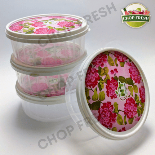 Airtight Food Container (Small) - Pack of 4